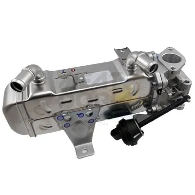 Module-EGR MEAT AND DORIA 88457 